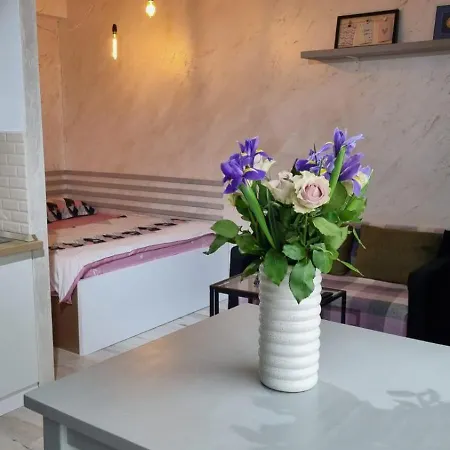 Teodoroiu Nr. 5 3* Craiova