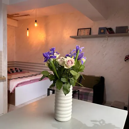 Teodoroiu Nr. 5 Hotel de apartamente Craiova