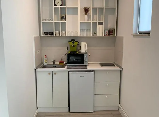 アパートホテル Teodoroiu Nr. 5