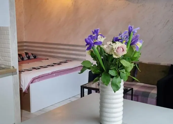 Teodoroiu Nr. 5 3* クラヨーヴァ