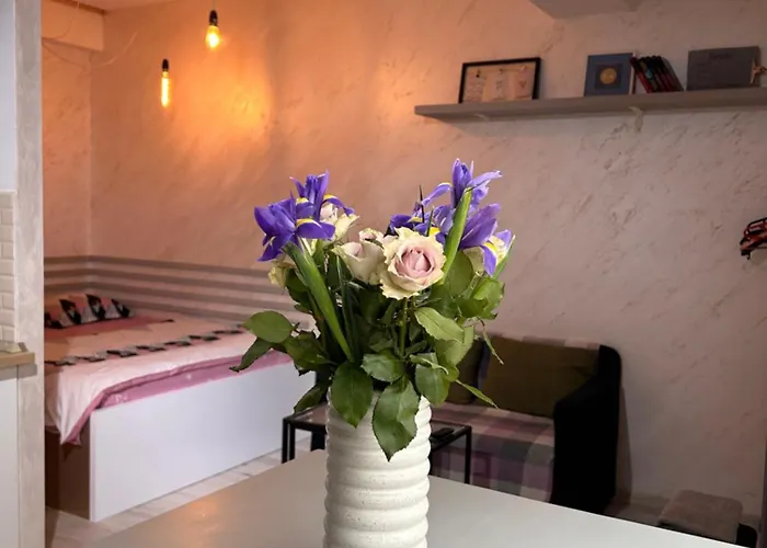 Teodoroiu Nr. 5 アパートホテル クラヨーヴァ