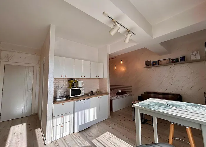 Teodoroiu Nr. 5 アパートホテル