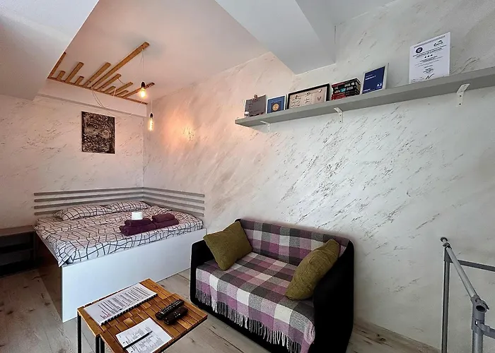 アパートホテル Teodoroiu Nr. 5