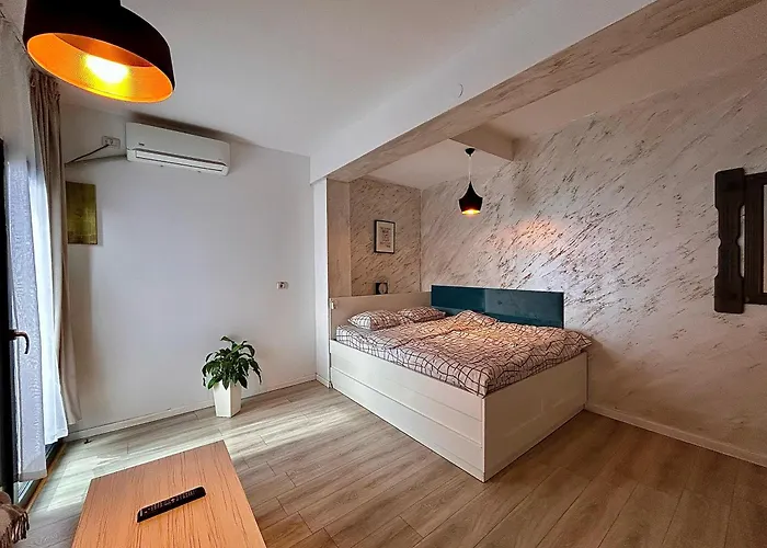 Teodoroiu Nr. 5 アパートホテル