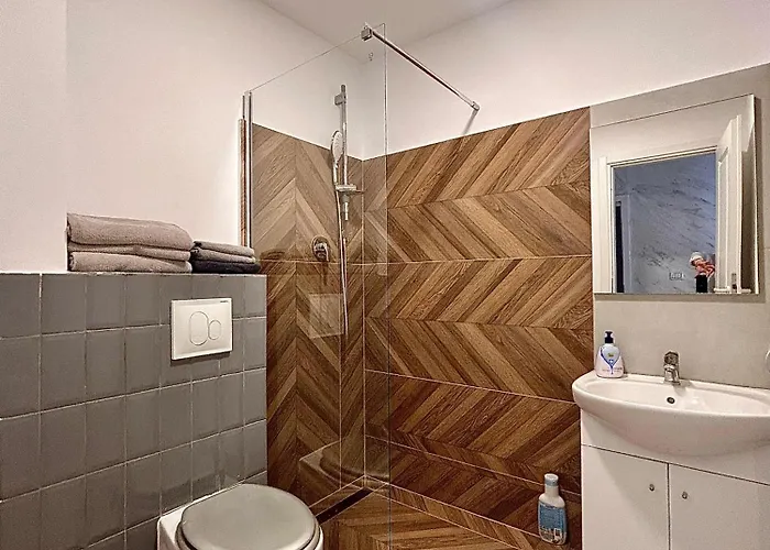 Teodoroiu Nr. 5 アパートホテル 3*