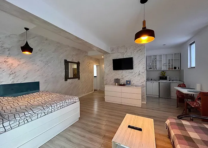 Teodoroiu Nr. 5 アパートホテル クラヨーヴァ