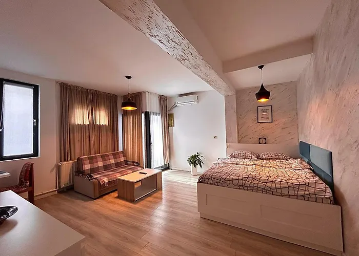 アパートホテル Teodoroiu Nr. 5 クラヨーヴァ