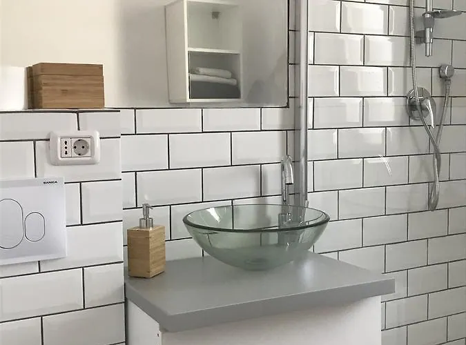 アパートホテル Teodoroiu Nr. 5 3*