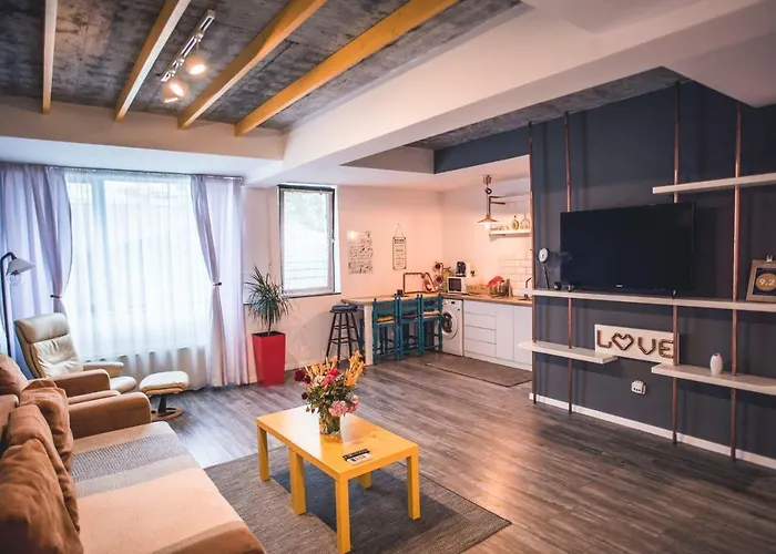 アパートホテル Teodoroiu Nr. 5