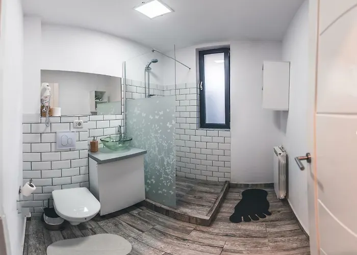 Teodoroiu Nr. 5 アパートホテル 3*