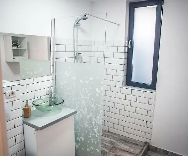 アパートホテル Teodoroiu Nr. 5